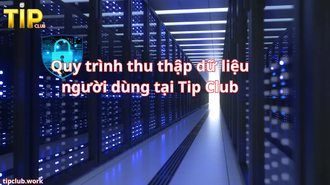 Quy trình thu thập dữ liệu người dùng tại Tip Club